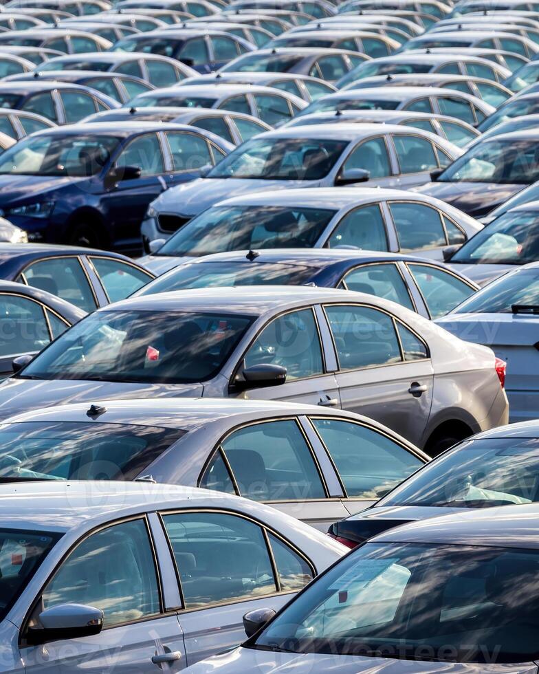 Rows of a new cars parked in a distribution center on a car factory on a sunny day. photo