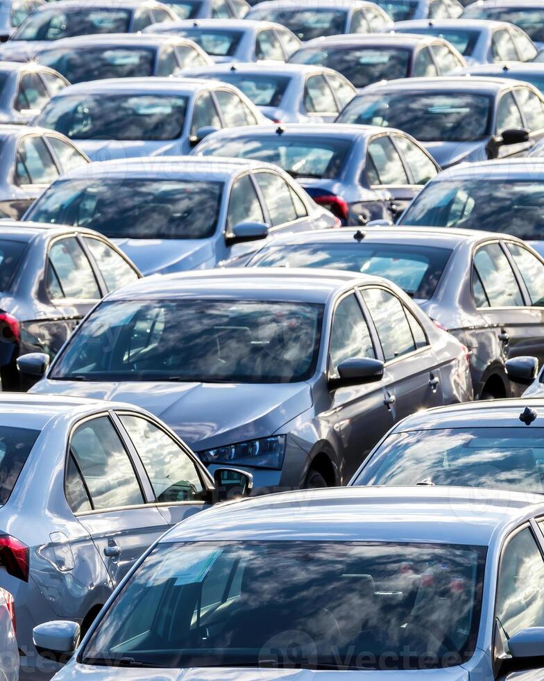 Rows of a new cars parked in a distribution center on a car factory on a sunny day. photo