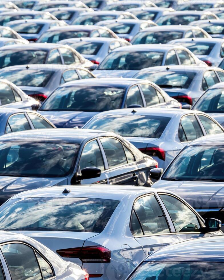 Rows of a new cars parked in a distribution center on a car factory on a sunny day. photo