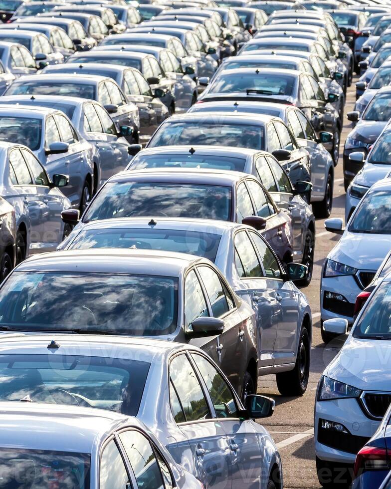 Rows of a new cars parked in a distribution center on a car factory on a sunny day. photo