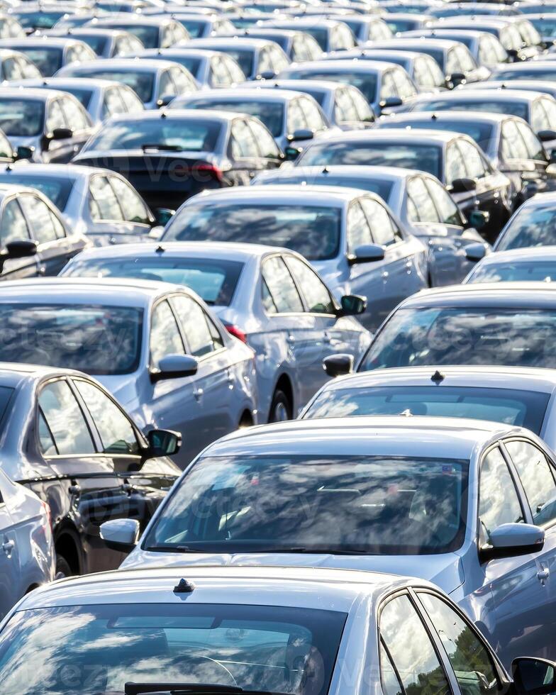 Rows of a new cars parked in a distribution center on a car factory on a sunny day. photo