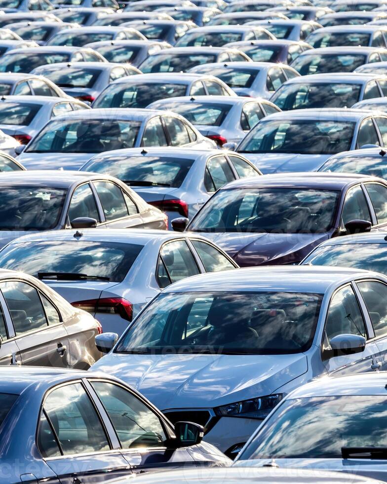 Rows of a new cars parked in a distribution center on a car factory on a sunny day. photo