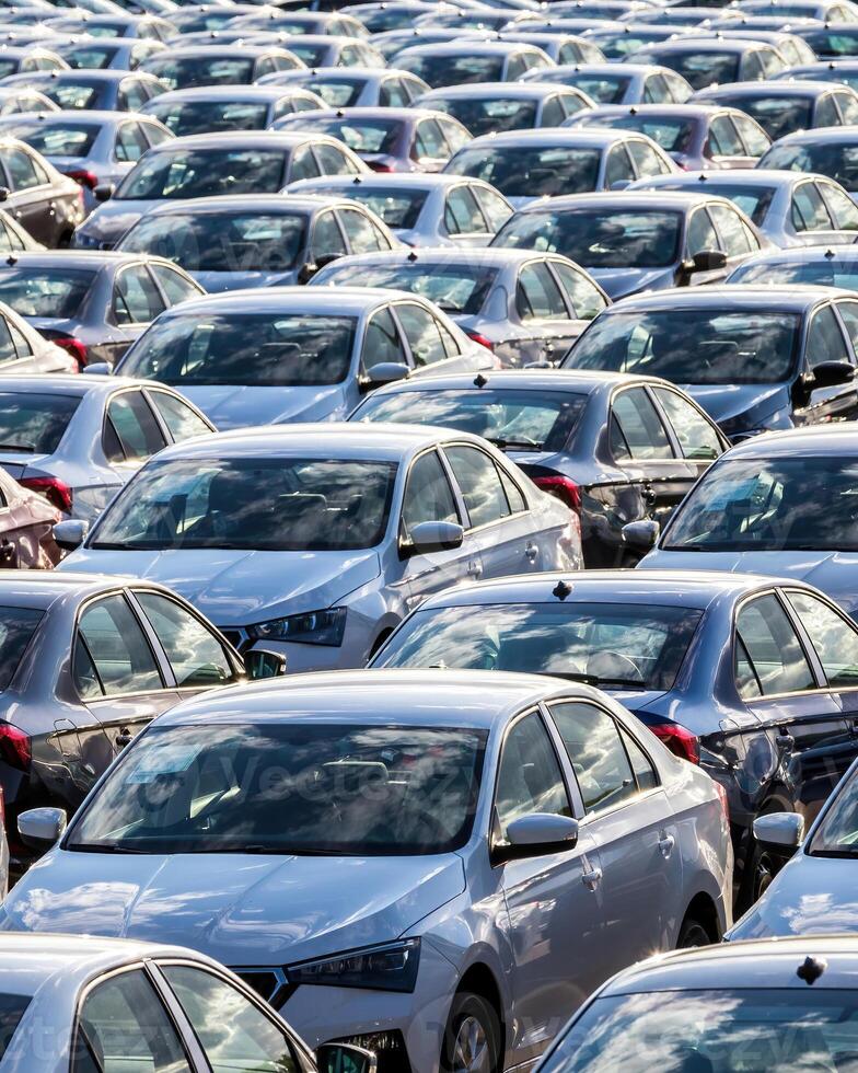 Rows of a new cars parked in a distribution center on a car factory on a sunny day. photo