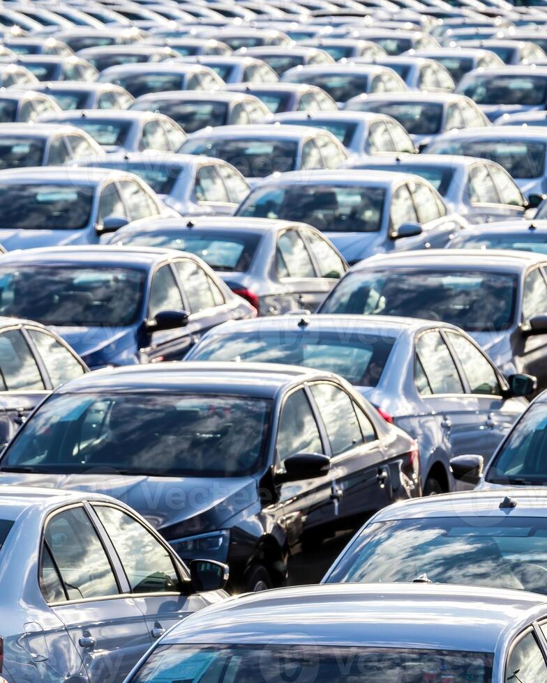 Rows of a new cars parked in a distribution center on a car factory on a sunny day. photo