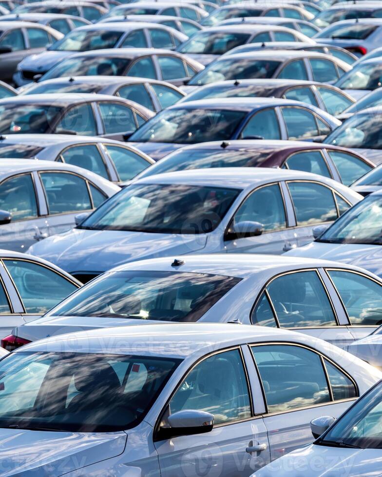 Rows of a new cars parked in a distribution center on a car factory on a sunny day. photo