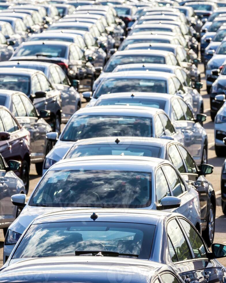 Rows of a new cars parked in a distribution center on a car factory on a sunny day. photo