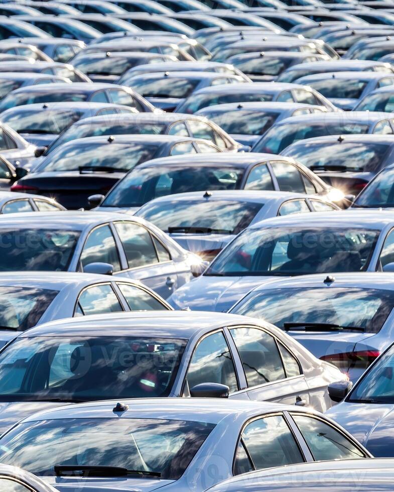 Rows of a new cars parked in a distribution center on a car factory on a sunny day. photo