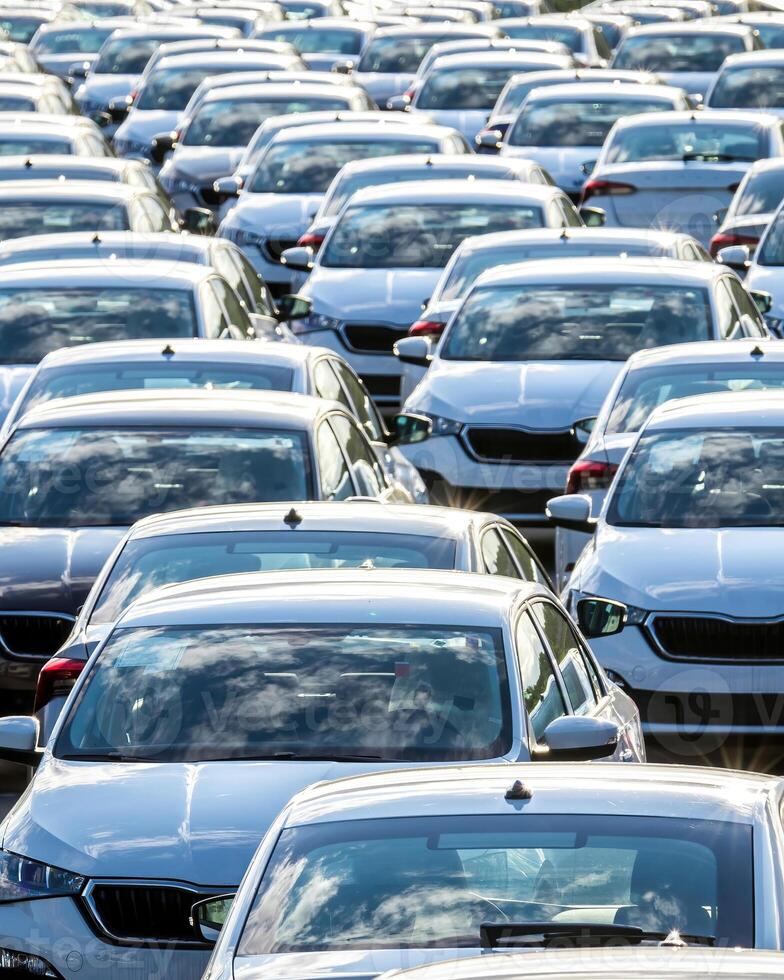 Rows of a new cars parked in a distribution center on a car factory on a sunny day. photo