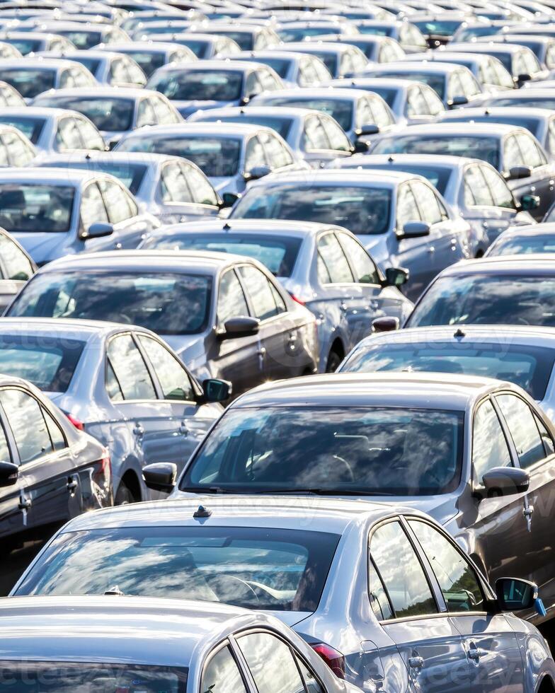 Rows of a new cars parked in a distribution center on a car factory on a sunny day. photo