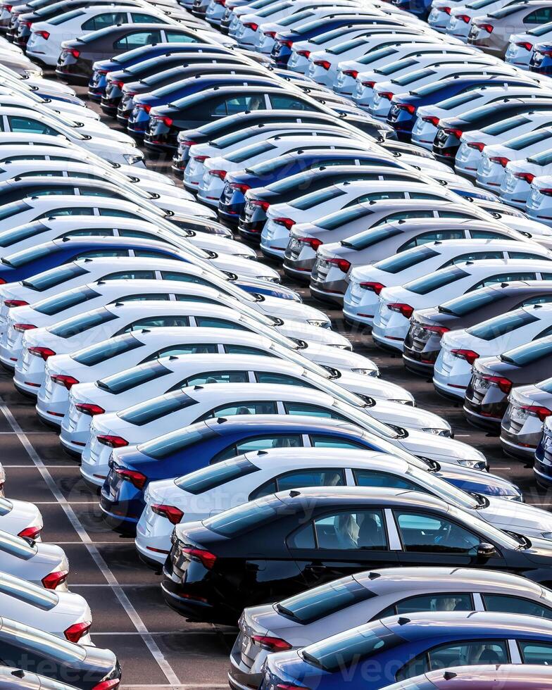 Rows of a new cars parked in a distribution center on a car factory on a sunny day. photo