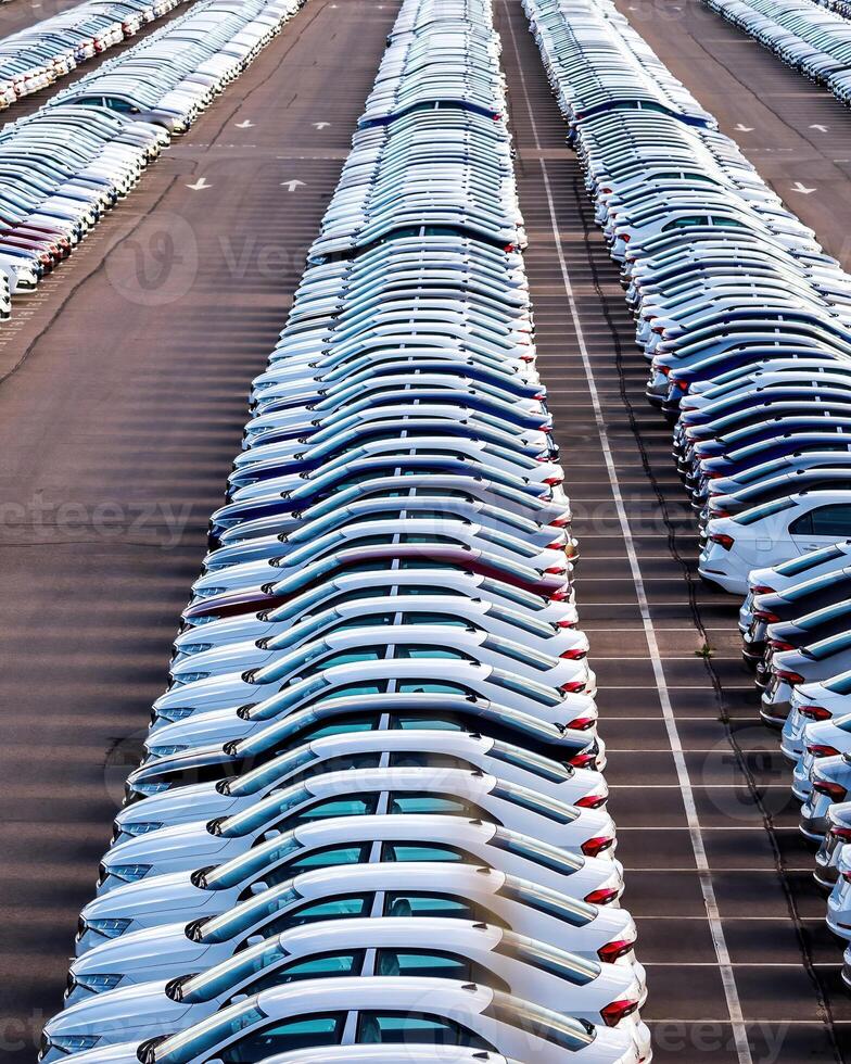 Rows of a new cars parked in a distribution center on a car factory on a sunny day. photo