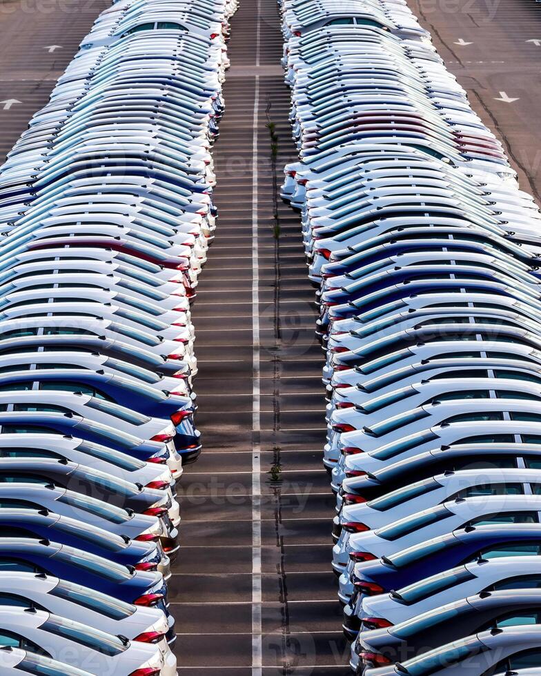 Rows of a new cars parked in a distribution center on a car factory on a sunny day. photo