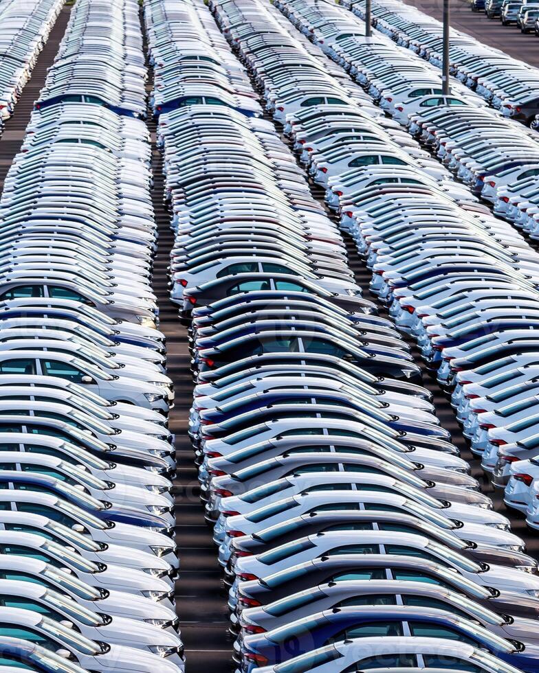 Rows of a new cars parked in a distribution center on a car factory on a sunny day. photo