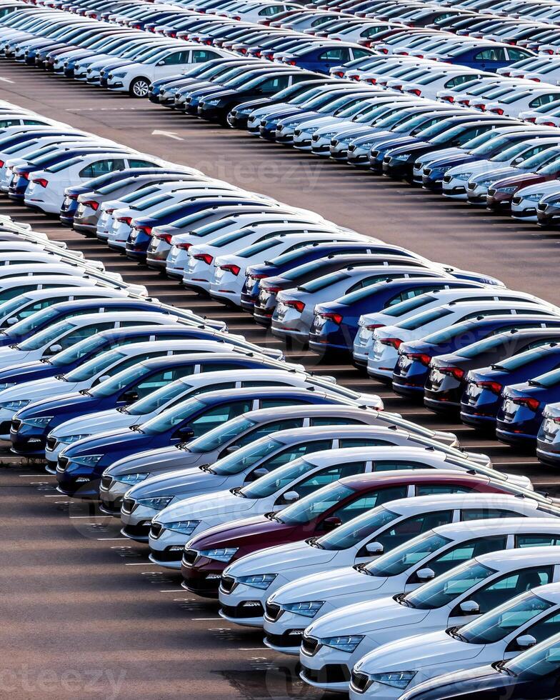 Rows of a new cars parked in a distribution center on a car factory on a sunny day. photo