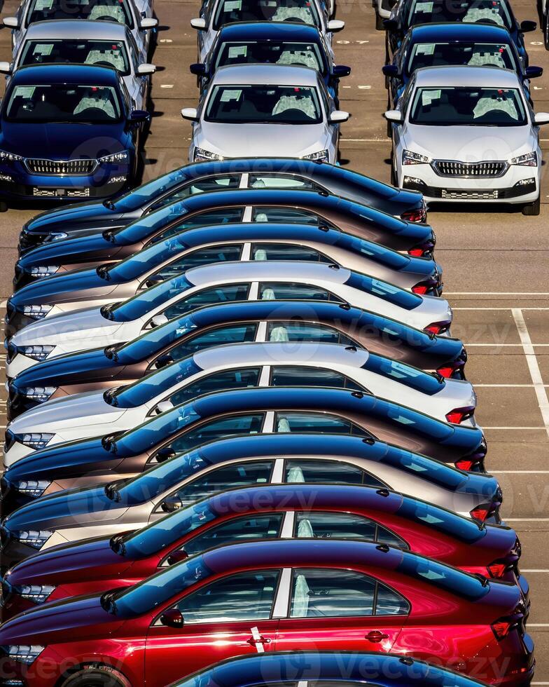 Rows of a new cars parked in a distribution center on a car factory on a sunny day. photo