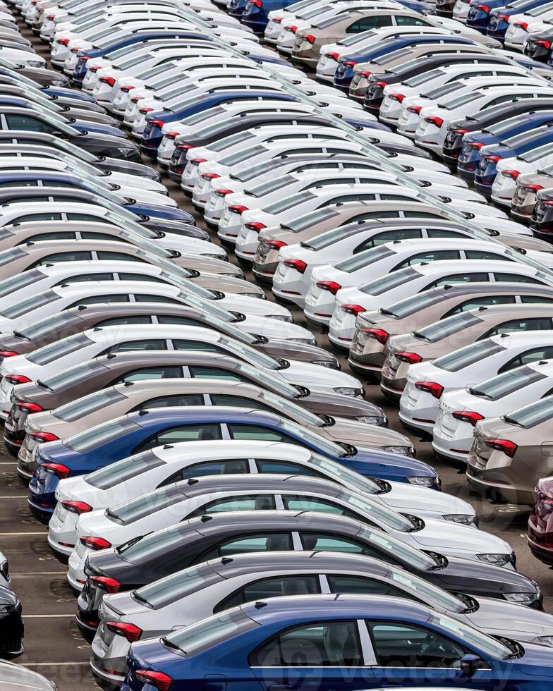 Rows of a new cars parked in a distribution center of a car factory. photo