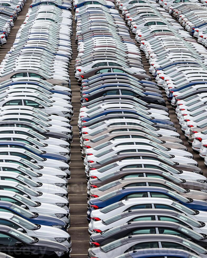 Rows of a new cars parked in a distribution center of a car factory. photo