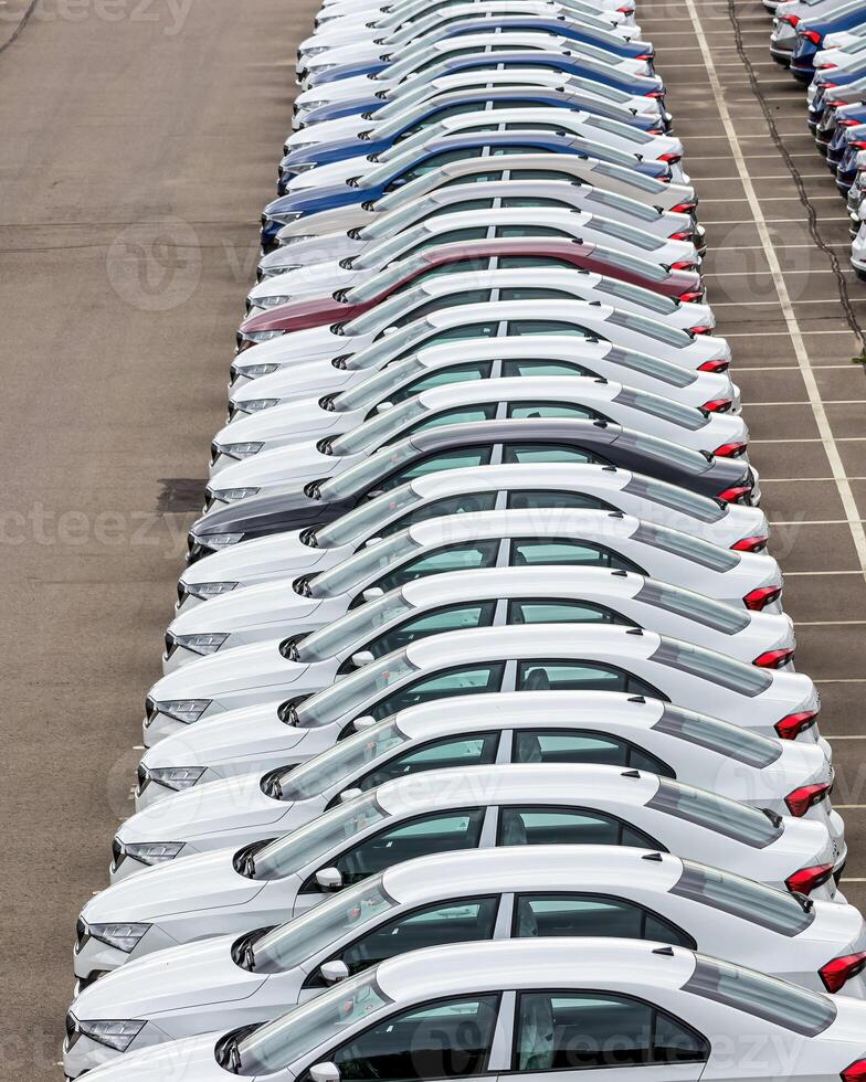 Rows of a new cars parked in a distribution center of a car factory. photo