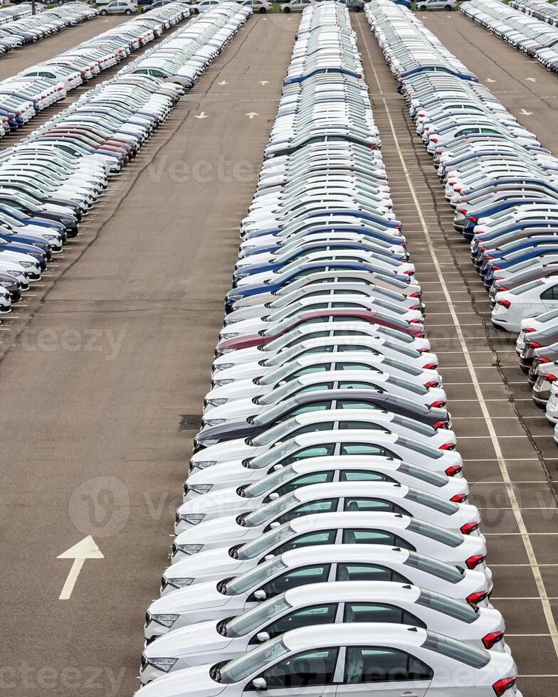 Rows of a new cars parked in a distribution center of a car factory. photo
