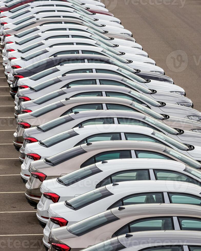 Rows of a new cars parked in a distribution center of a car factory. photo