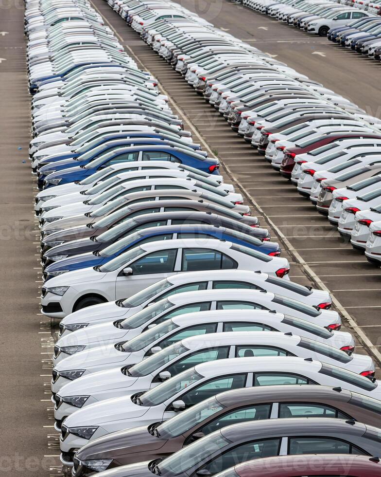 Rows of a new cars parked in a distribution center of a car factory. photo