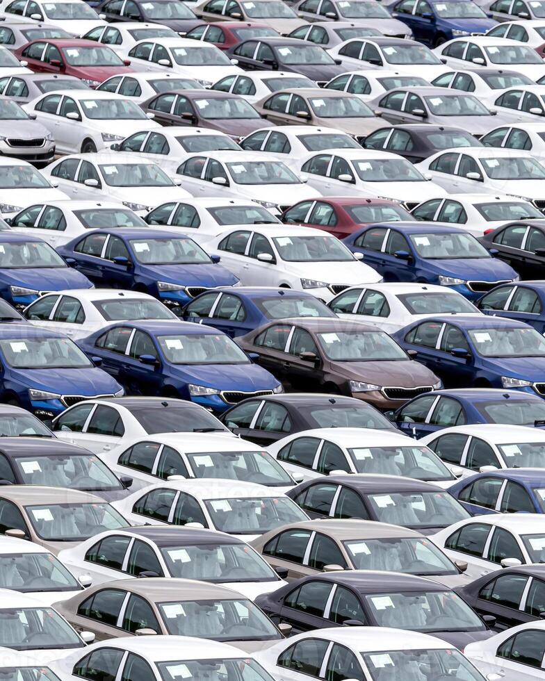 Rows of a new cars parked in a distribution center of a car factory. photo