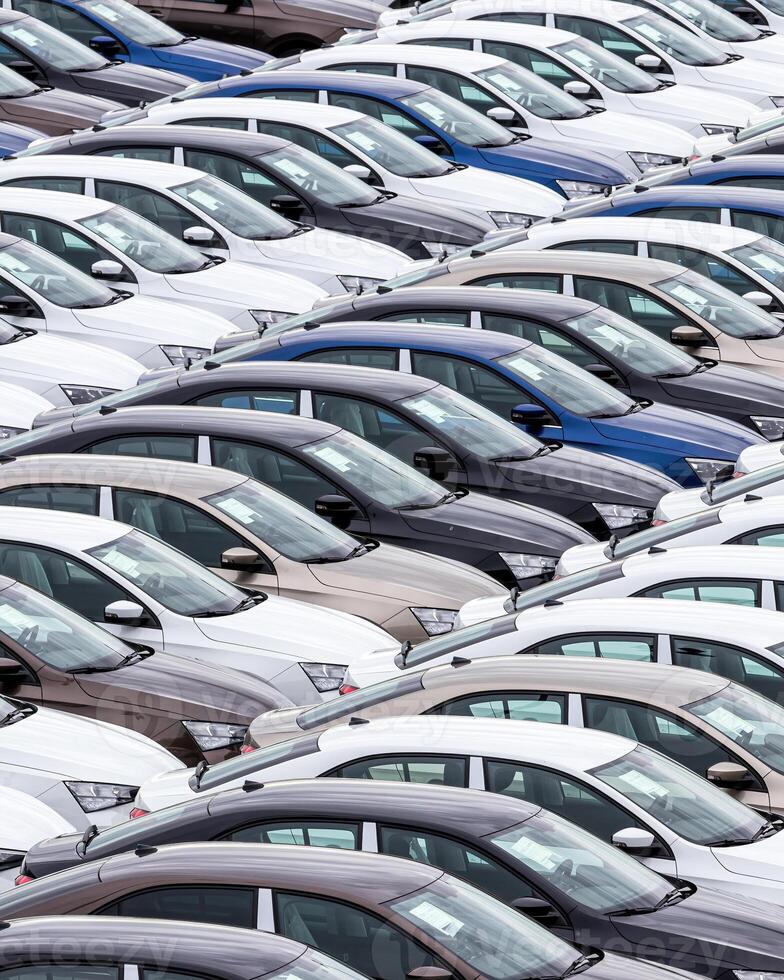 Rows of a new cars parked in a distribution center of a car factory. photo