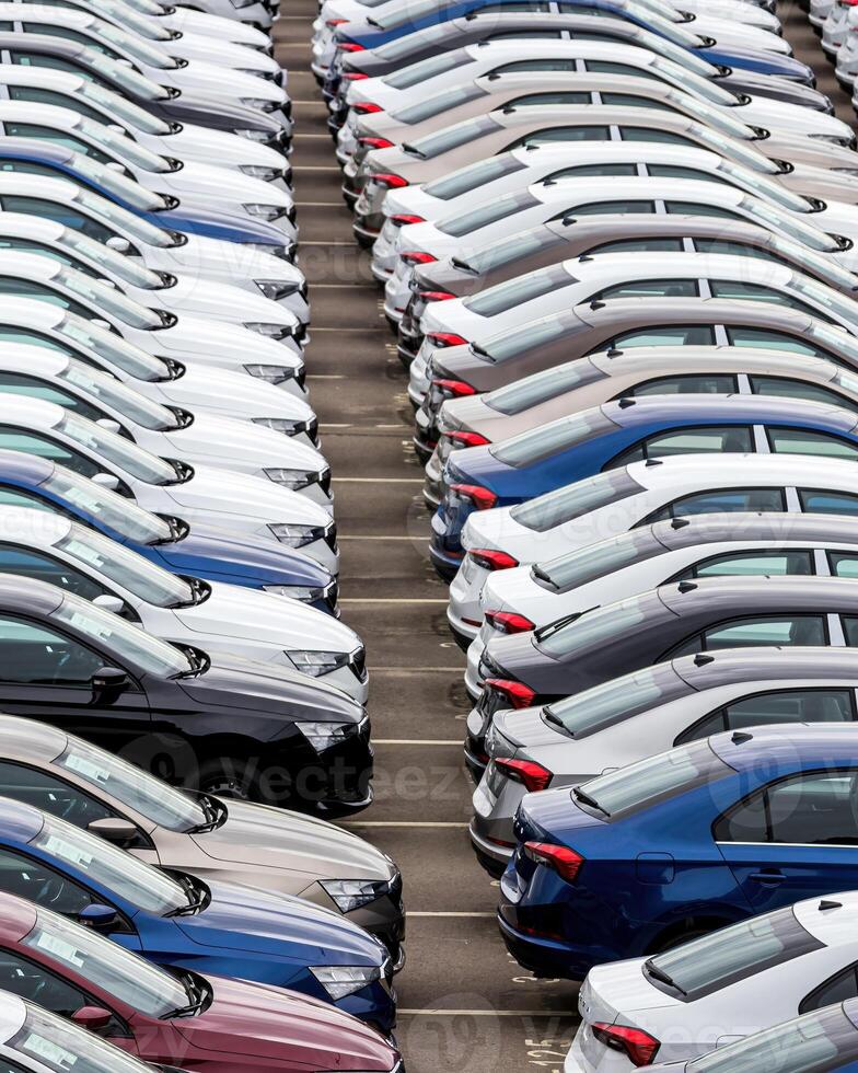 Rows of a new cars parked in a distribution center of a car factory. photo