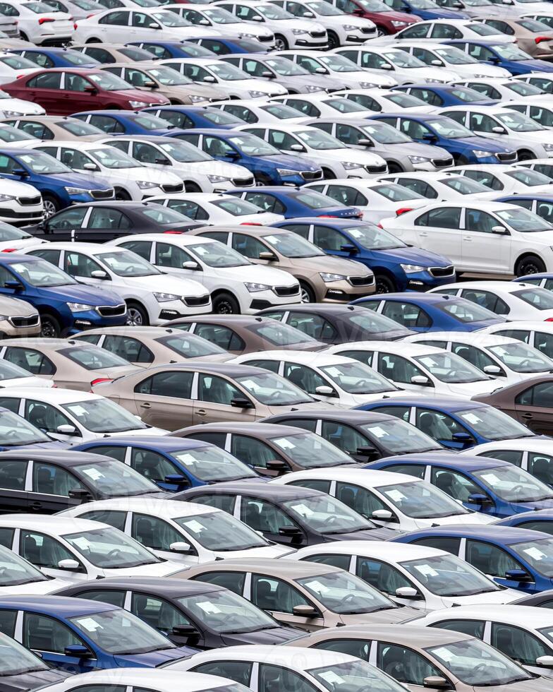 Rows of a new cars parked in a distribution center of a car factory. photo