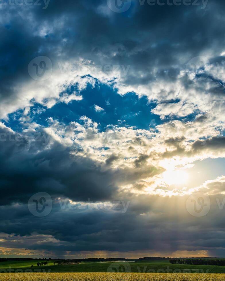 The sun breaking through storm clouds in a flowering rapeseed field. photo