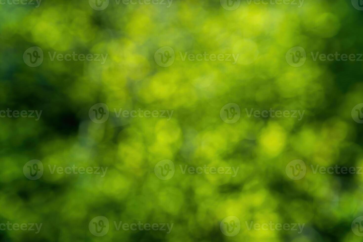 Green blurred bokeh background. photo