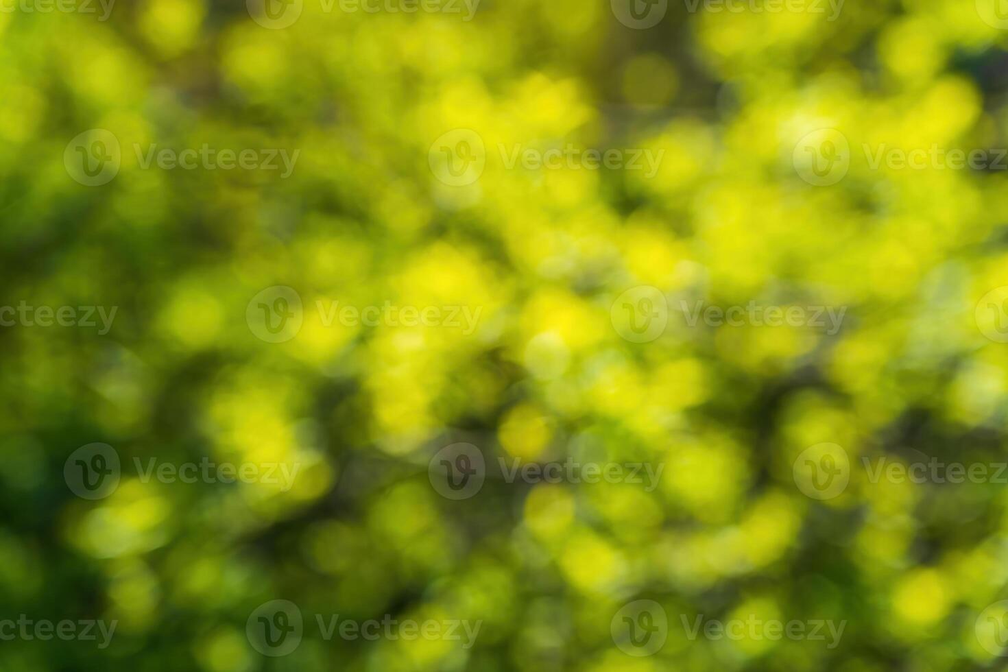 Green blurred bokeh background. photo