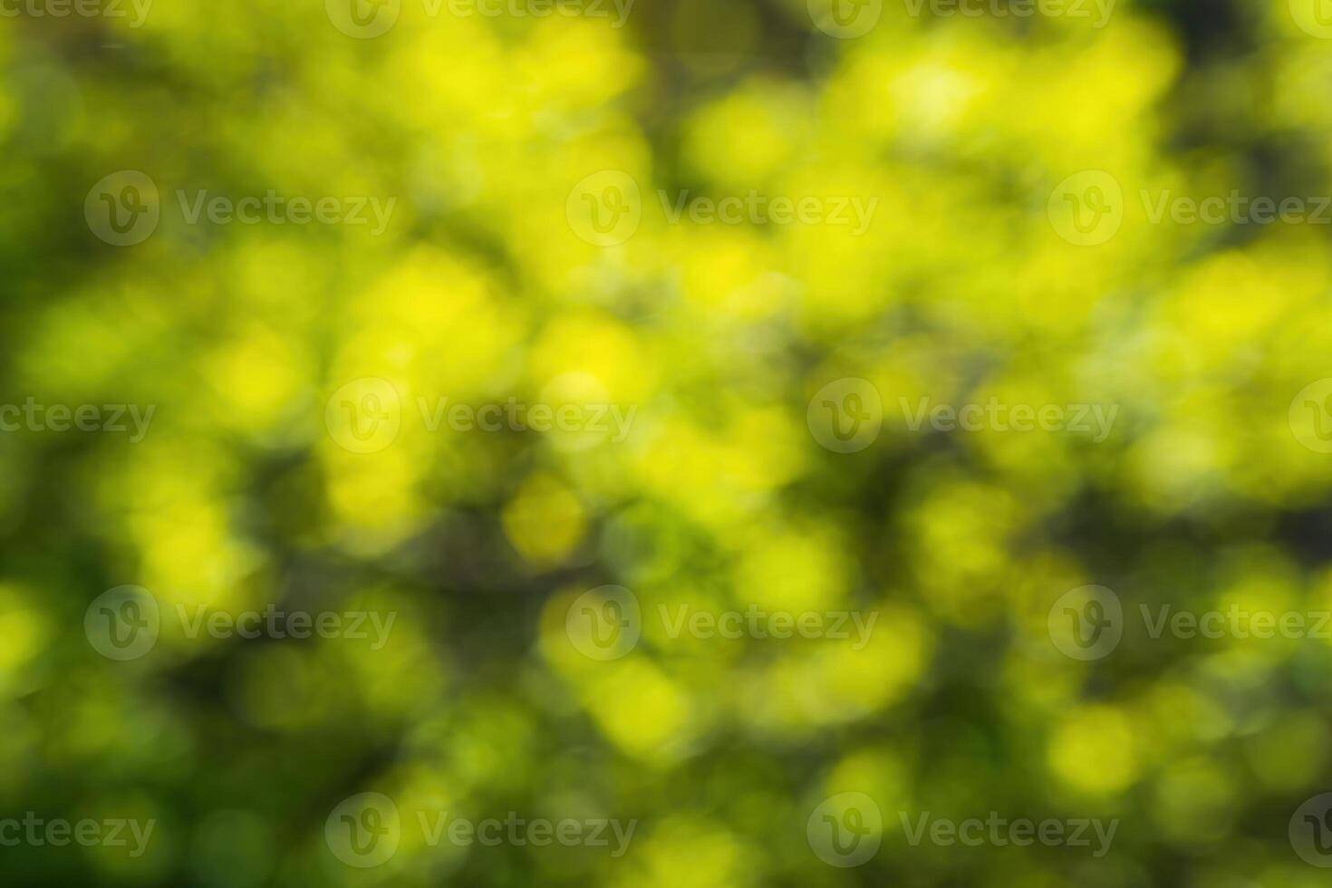 Green blurred bokeh background. photo