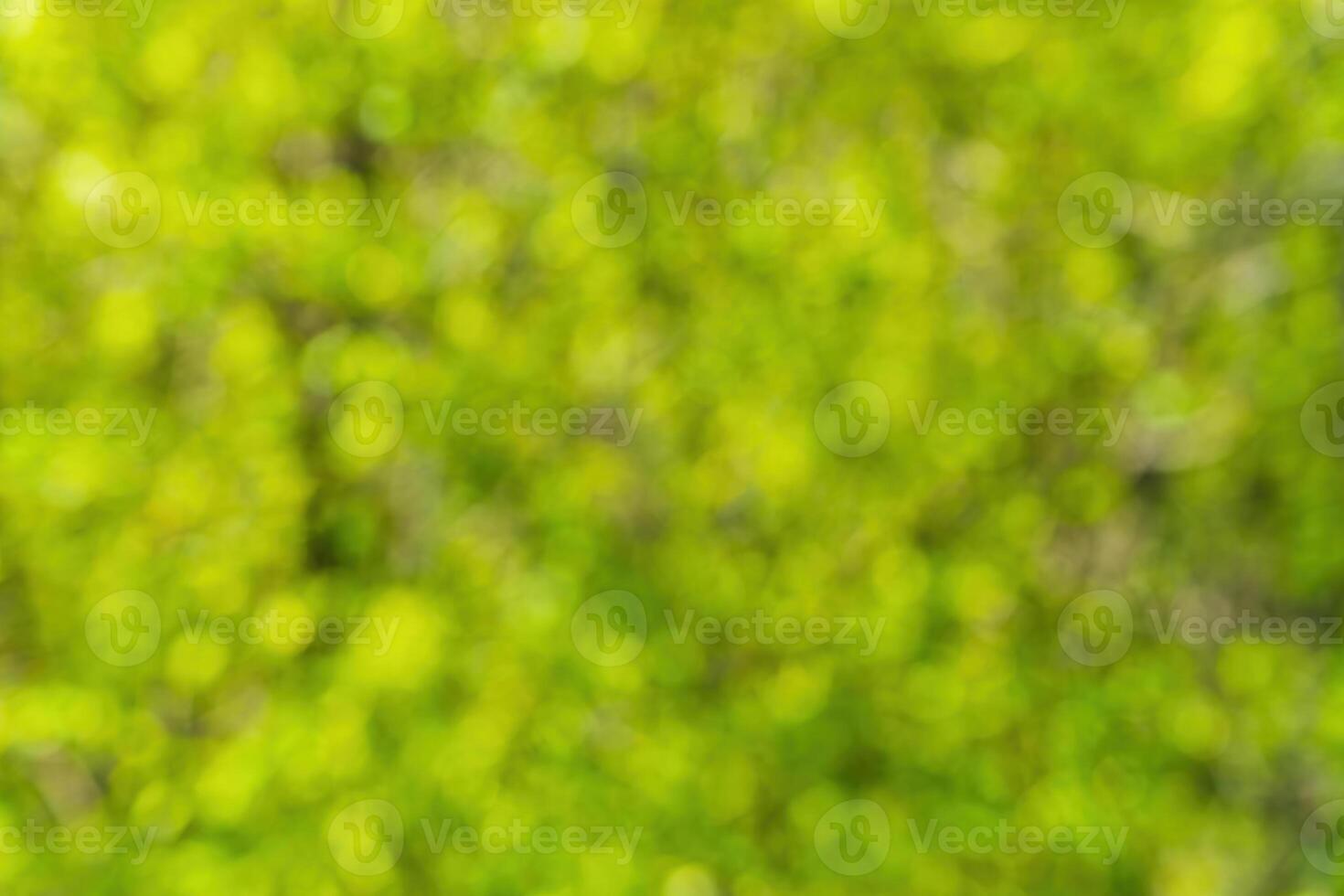Green blurred bokeh background. photo