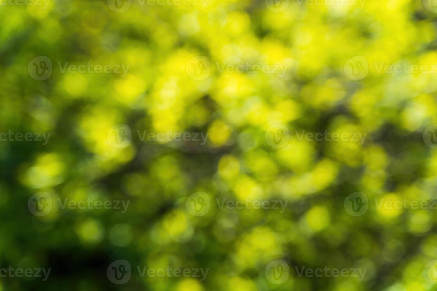 Green blurred bokeh background. photo
