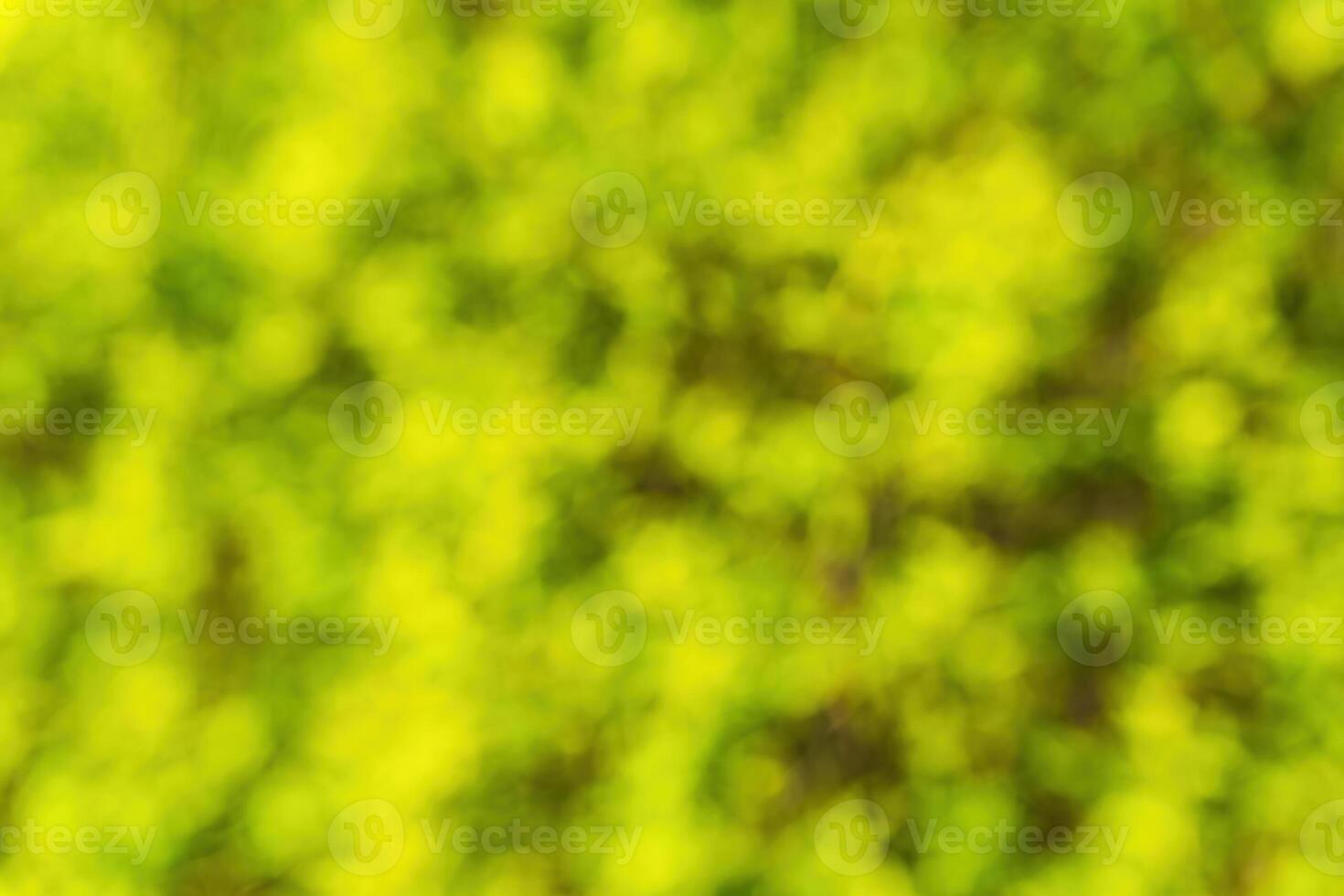 Green blurred bokeh background. photo