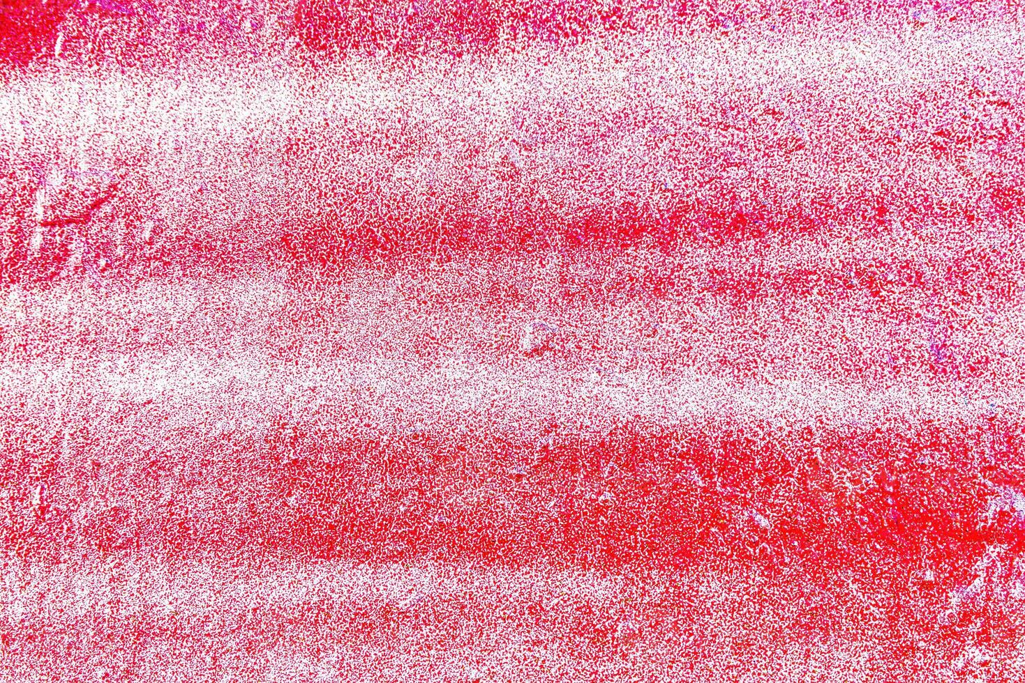 Colorful graffiti painted on a wall. Abstract urban background. photo