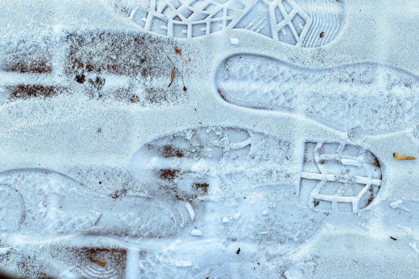 Boot track on thin first snow in winter. photo