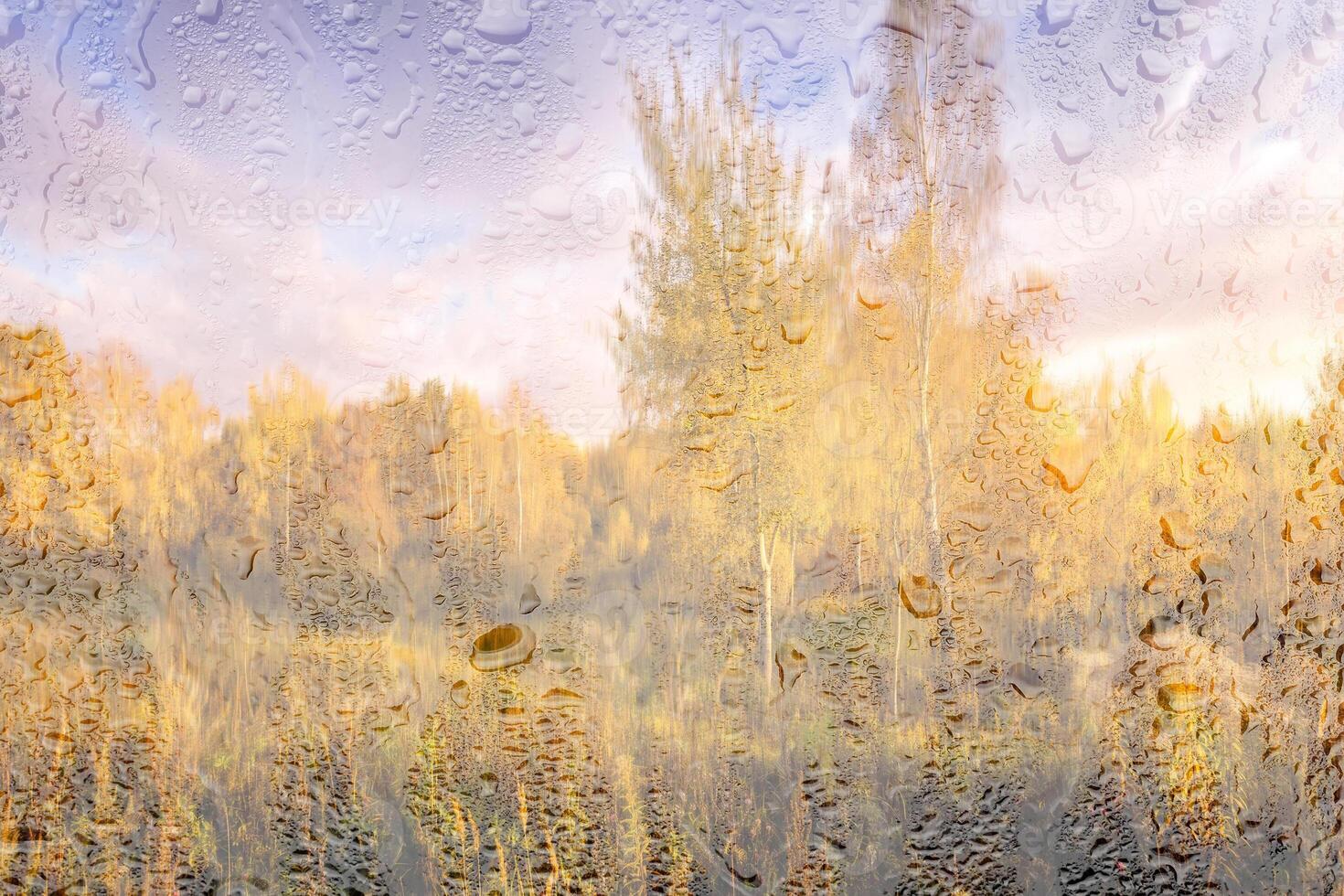 Birch trees with yellow foliage illuminated by the sun after rain behind wet glass in golden autumn. The concept of changing bad weather to good and falling leaves. Abstract landscape. photo