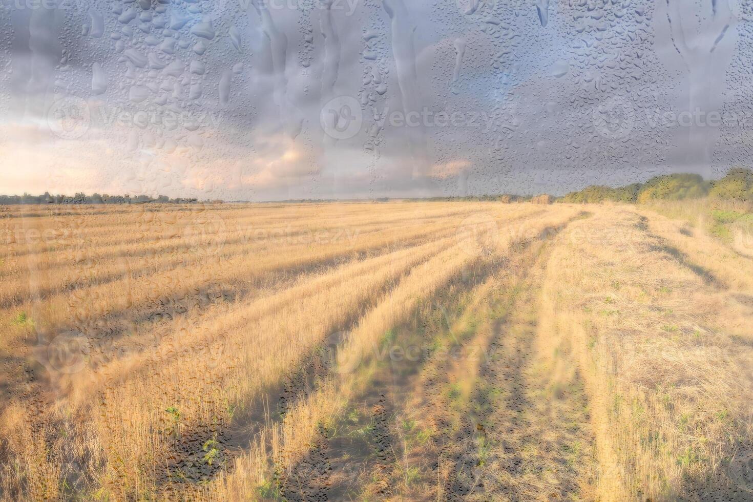 An agricultural field with haystacks, illuminated by evening sunlight after rain, behind wet glass in autumn. The concept of changing bad weather to good. Abstract landscape. photo