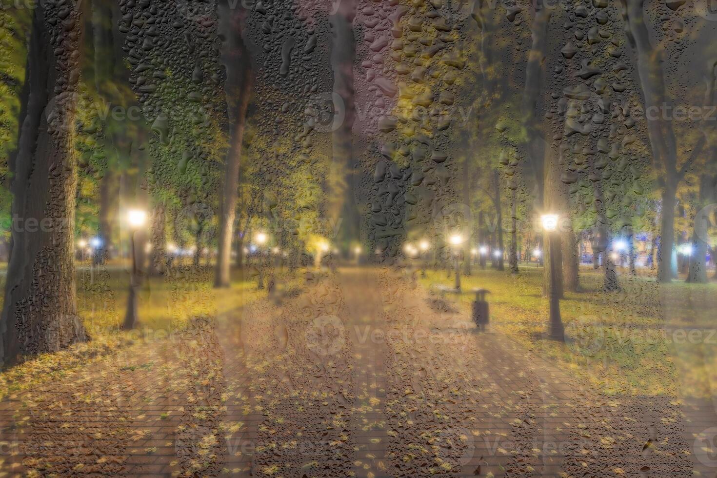 Night rainy park with yellow maple leaves, pavement and lanterns behind wet rainy glass in golden autumn. The concept of bad weather, change of season and leaf fall. Abstract landscape. photo
