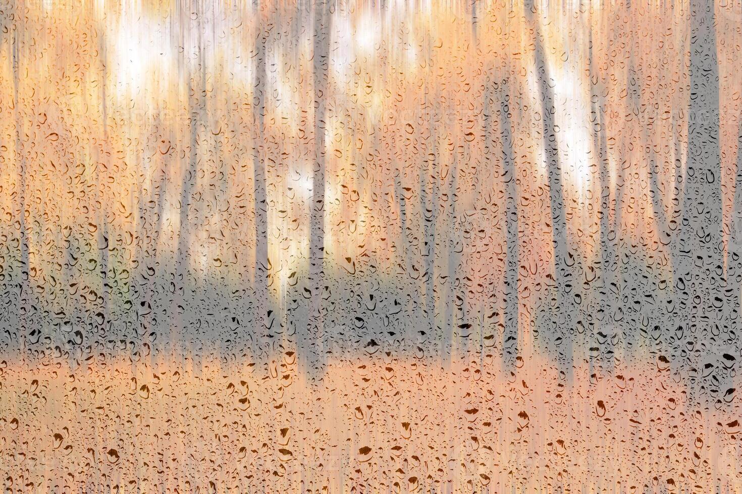 Day park with yellow maple leaves, pavement and benches behind wet rainy glass in golden autumn. The concept of bad weather, change of season and leaf fall. Abstract landscape. photo