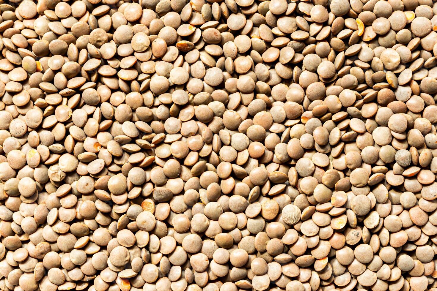 Lentils bean background or texture. Gluten-Free and healthy food. Vegan nutrition photo