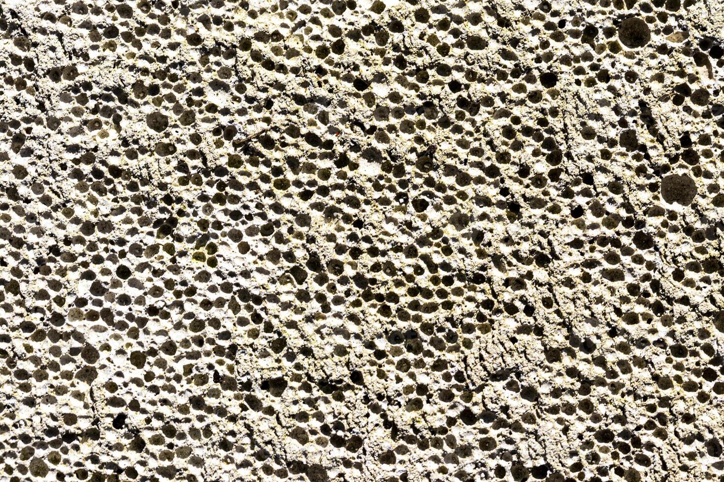 Texture of concrete or plastered wall. photo