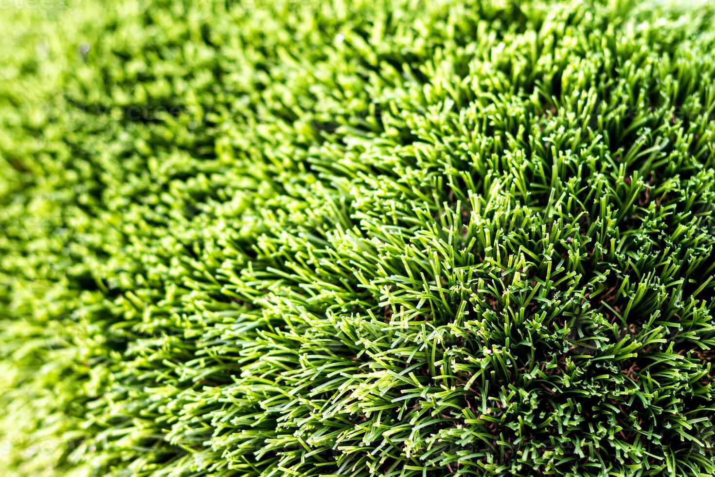 Artificial green grass or needles texture. photo