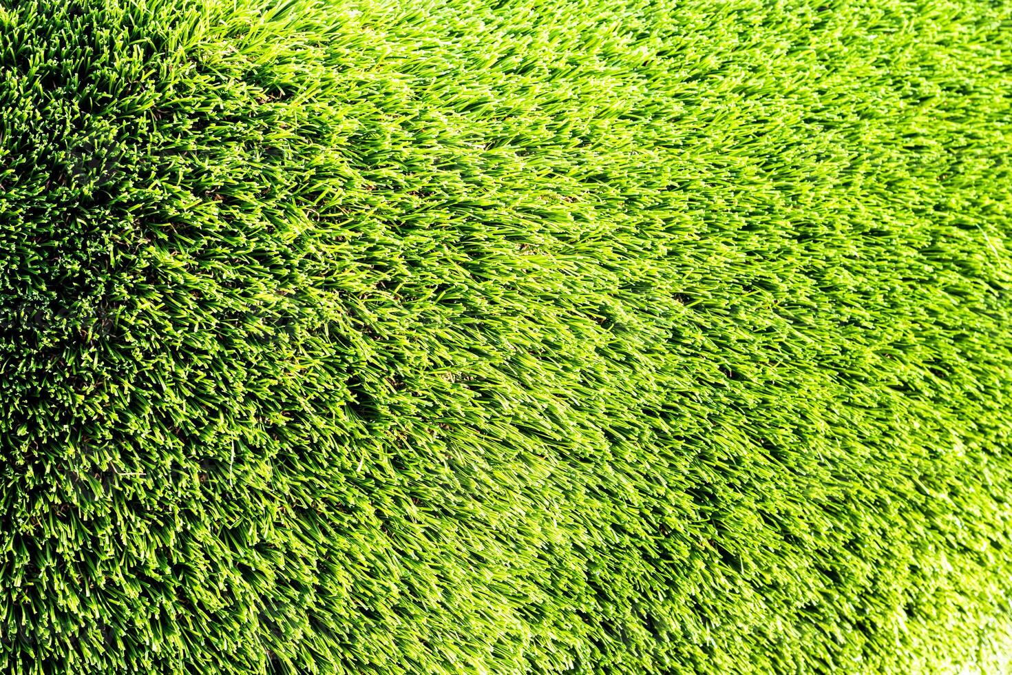 Artificial green grass or needles texture. photo
