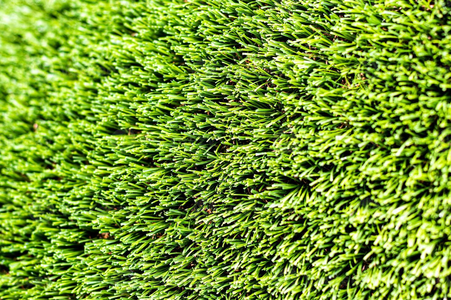 Artificial green grass or needles texture. photo