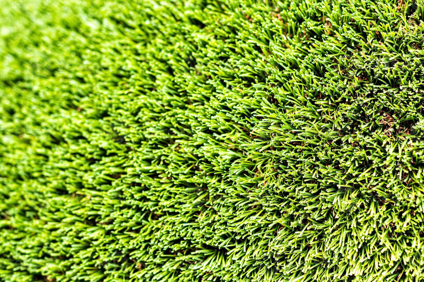Artificial green grass or needles texture. photo