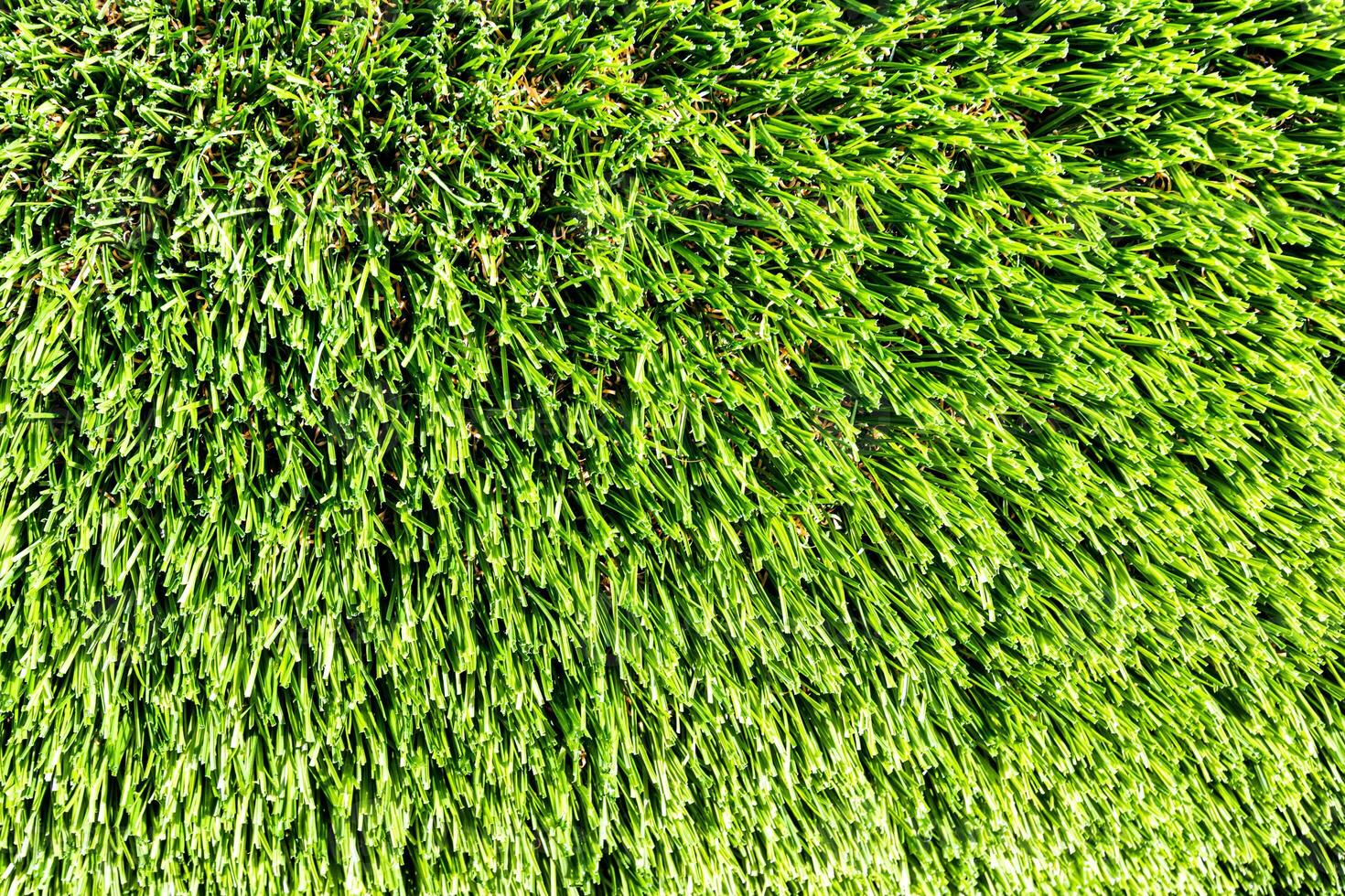 Artificial green grass or needles texture. photo