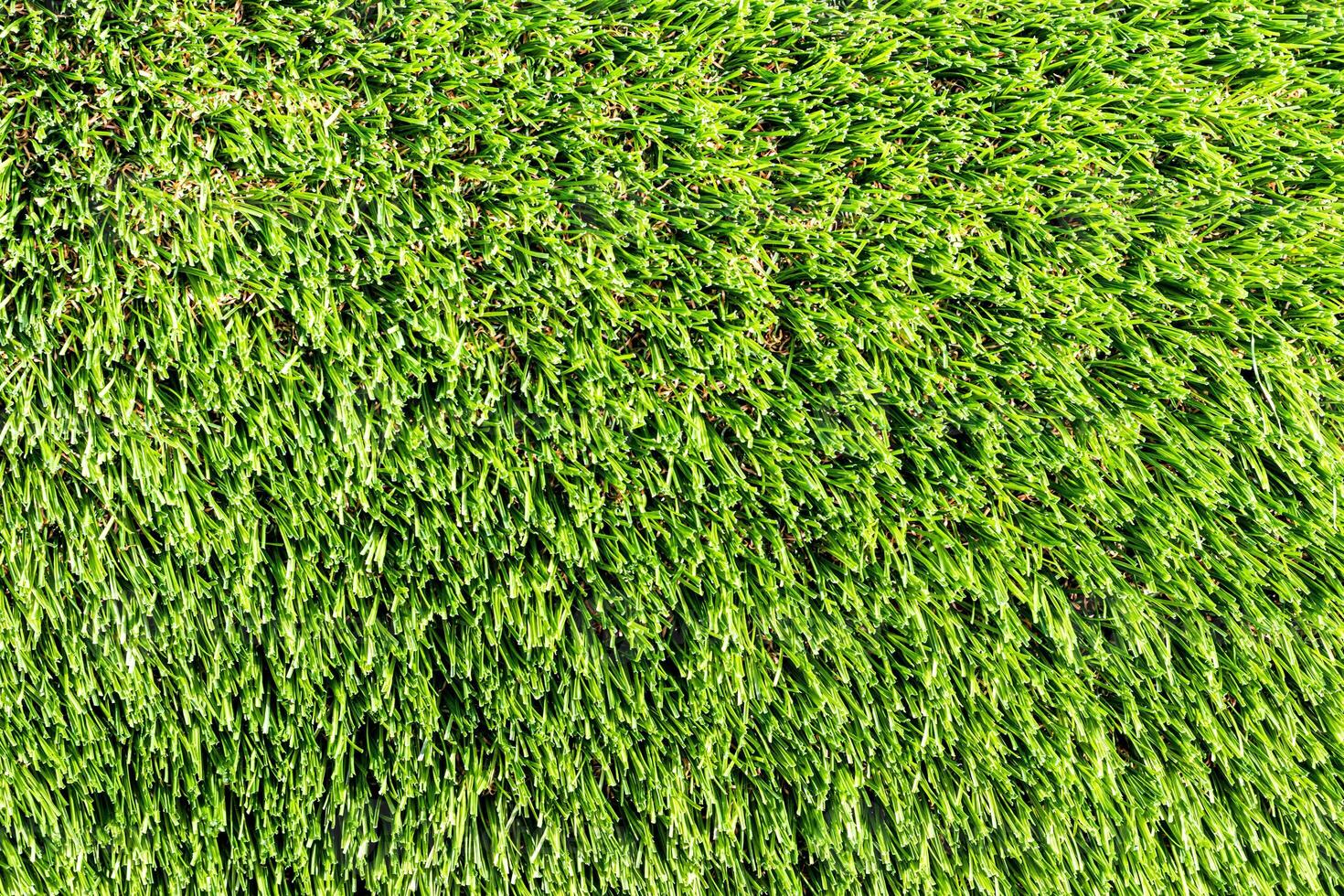 Artificial green grass or needles texture. photo